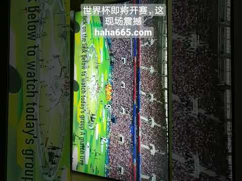 巴黎奥运中,国滑板新秀,郑好好,pa真人,国际官网,pa真人官网,PlayAce