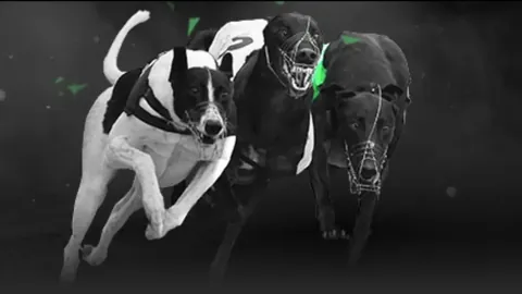 “安切洛蒂：若获5亿美元沙特邀约，但钱从来不是我的追求所在”