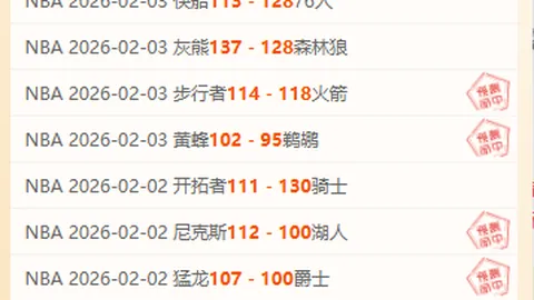 “马雷斯卡对帕尔默出战英格兰赛事持怀疑态度，因其肌肉拉伤”